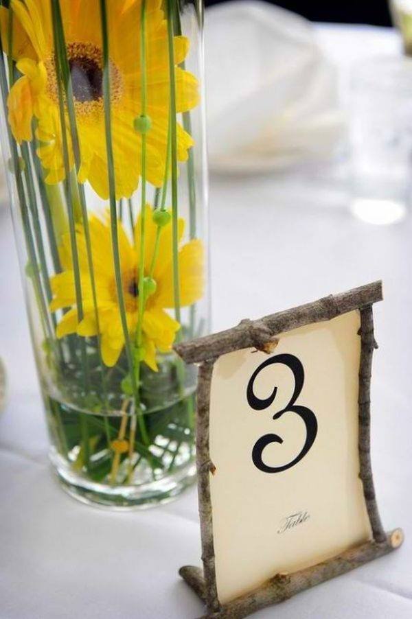 13177961_850219351778369_9030063402886623438_n