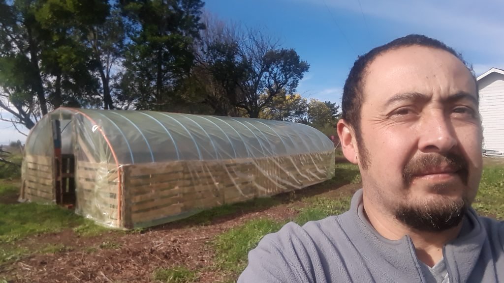 Invernadero con palets 1 Invernadero con palets 1