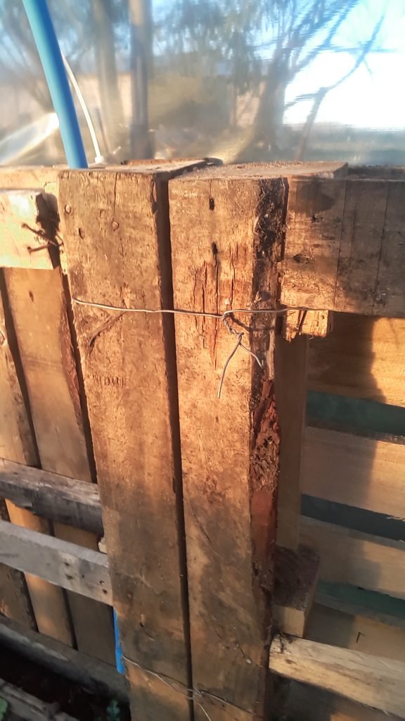 Invernadero con palets 5 Invernadero con palets 5