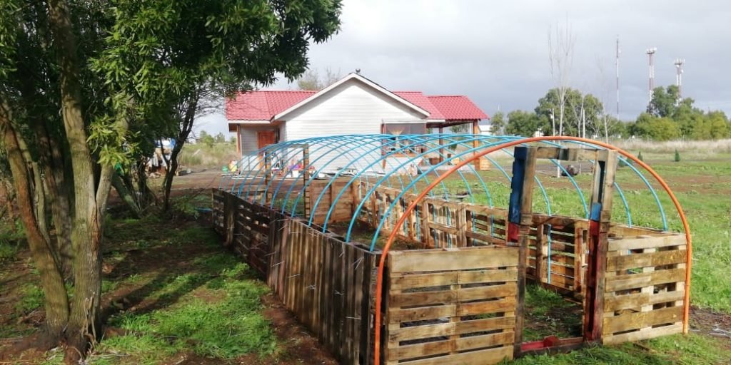 Invernadero con palets 7 Invernadero con palets 7